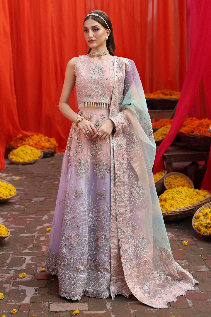 Nureh | Jhoomro | NL-81 Daria - House of Ayeza