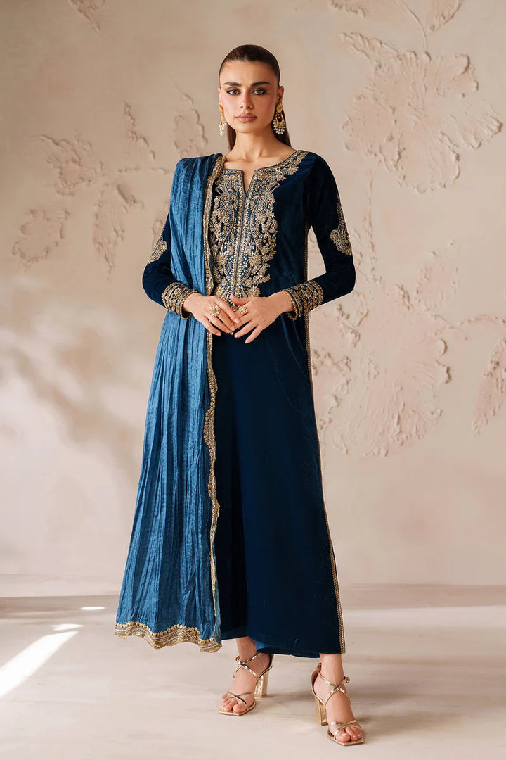 Baroque | Ready To Wear | EMBROIDERED VELVET PR-1206 - House of Ayeza