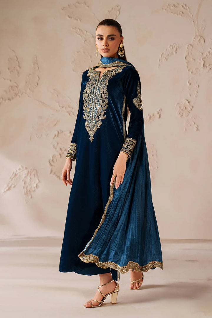 Baroque | Ready To Wear | EMBROIDERED VELVET PR-1206 - House of Ayeza