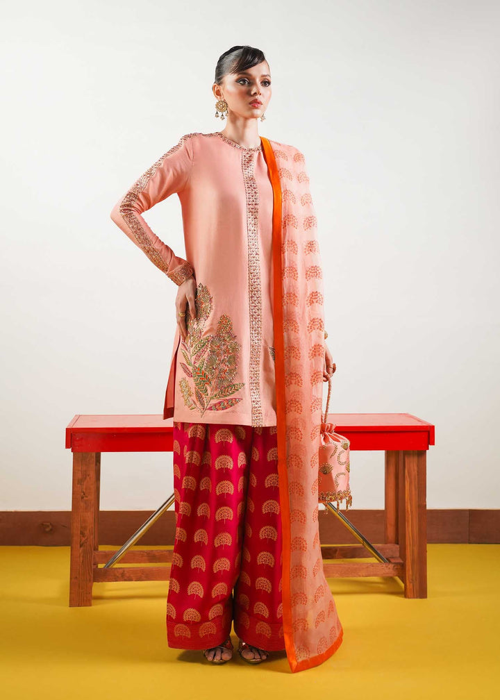 Hussain Rehar | Basic Not Basic 4 | Blush - House of Faiza