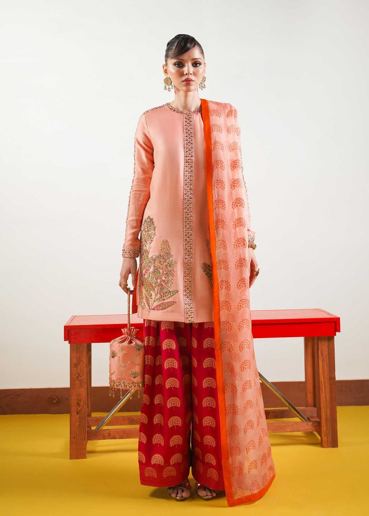 Hussain Rehar | Basic Not Basic 4 | Blush - House of Faiza