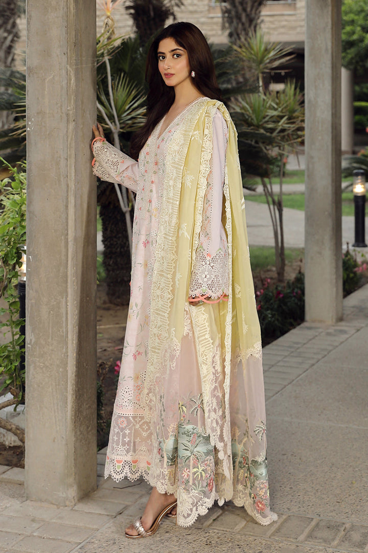 Qalamkar | Festive Lawn '24  |PS-03 IRSA