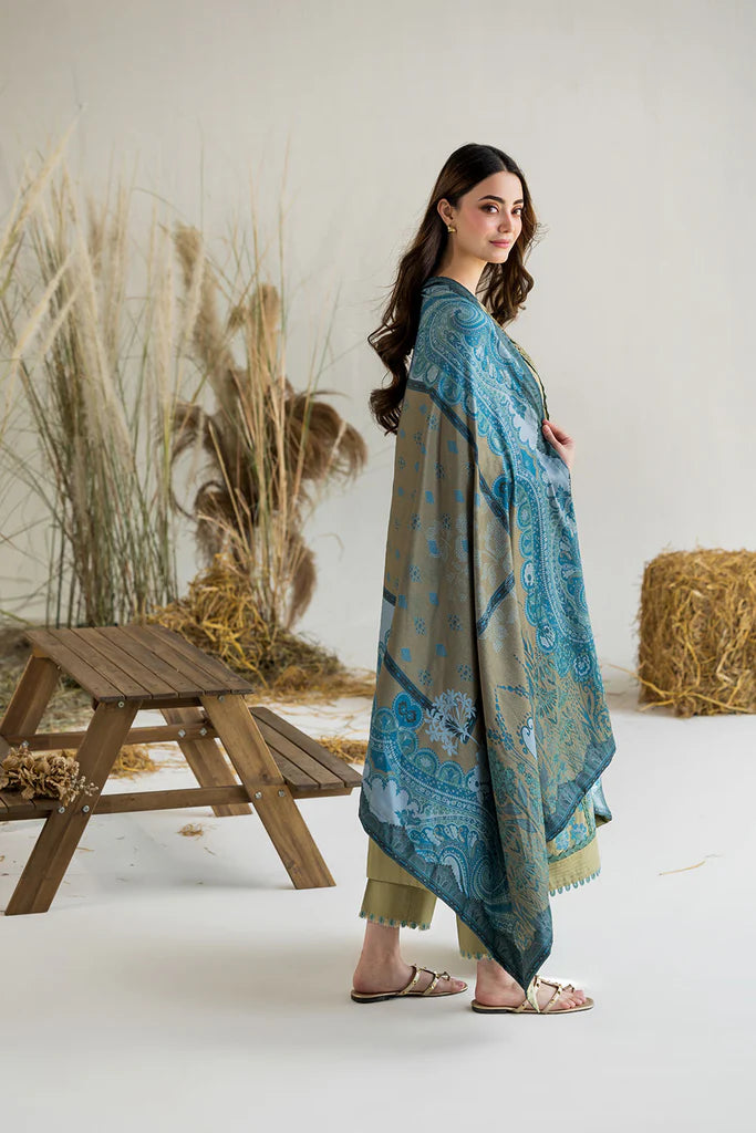 Sobia Nazir | Winter Edit Vol.1 '25 | Design 6B - House of Ayeza