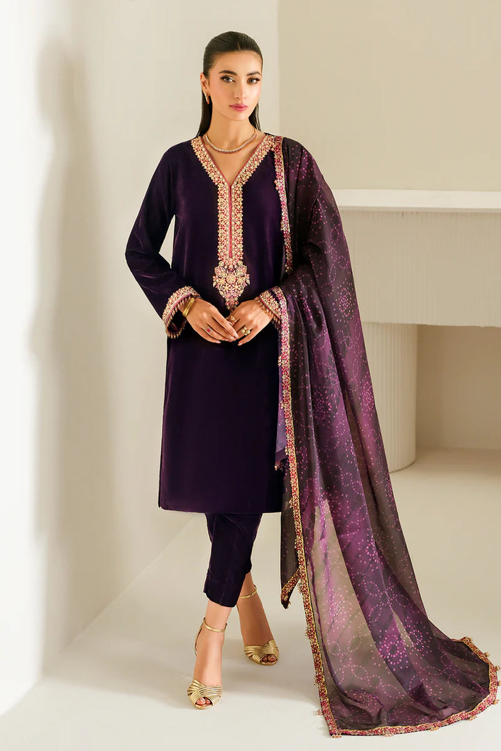 Baroque | Embroidered Velvet | PR-1016 - House of Ayeza