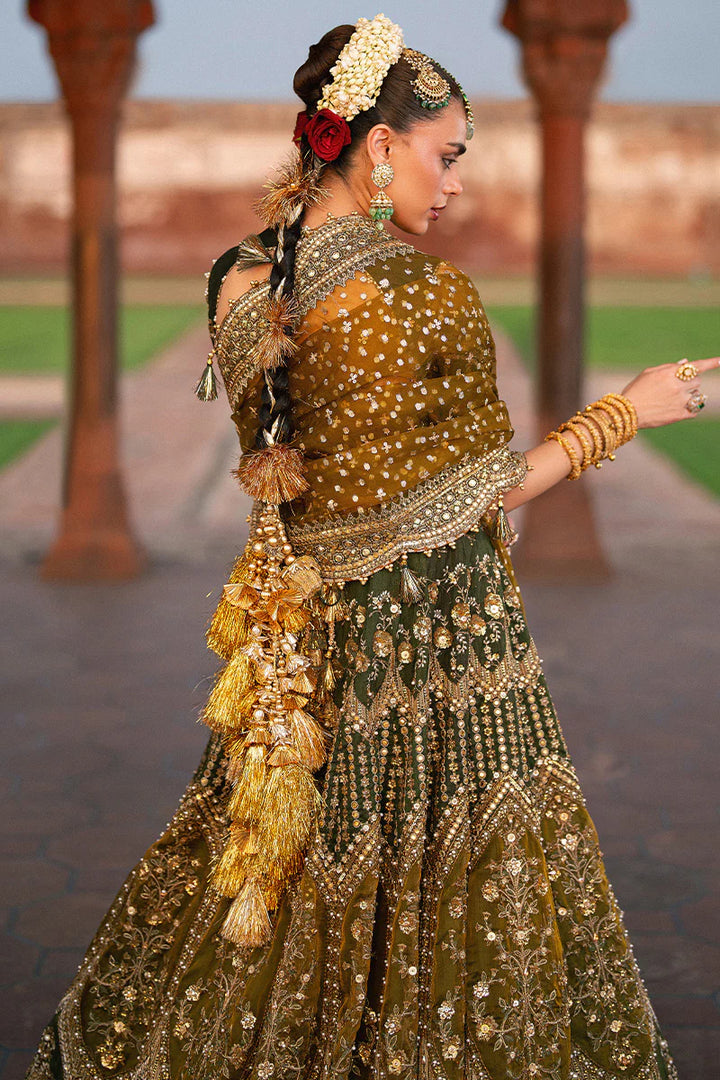 MNR | Zarlish Festive Stitched Vol VI | Afsana - House of Ayeza