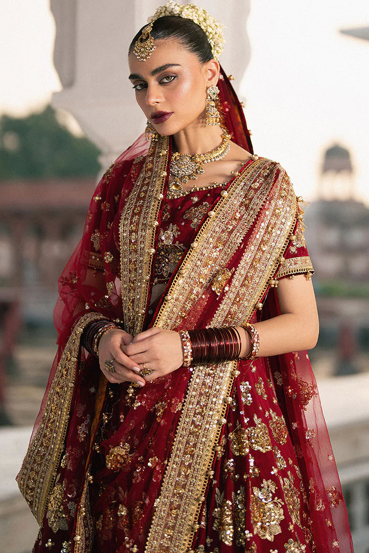 MNR | Zarlish Festive Stitched Vol VI | Bia Jaan - House of Ayeza