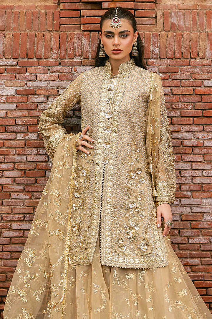 MNR | Zarlish Festive Stitched Vol VI | Roshni - House of Ayeza