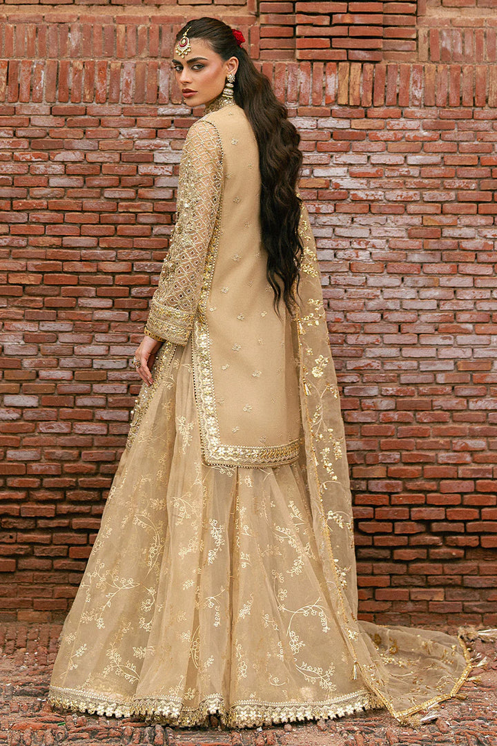 MNR | Zarlish Festive Stitched Vol VI | Roshni - House of Ayeza