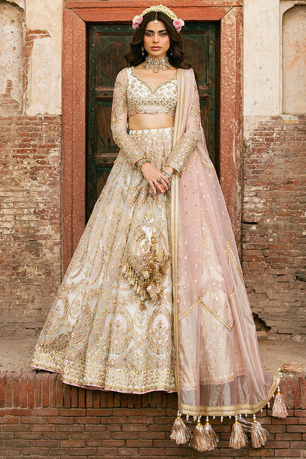 MNR | Zarlish Festive Stitched Vol VI | Kohinoor - House of Ayeza