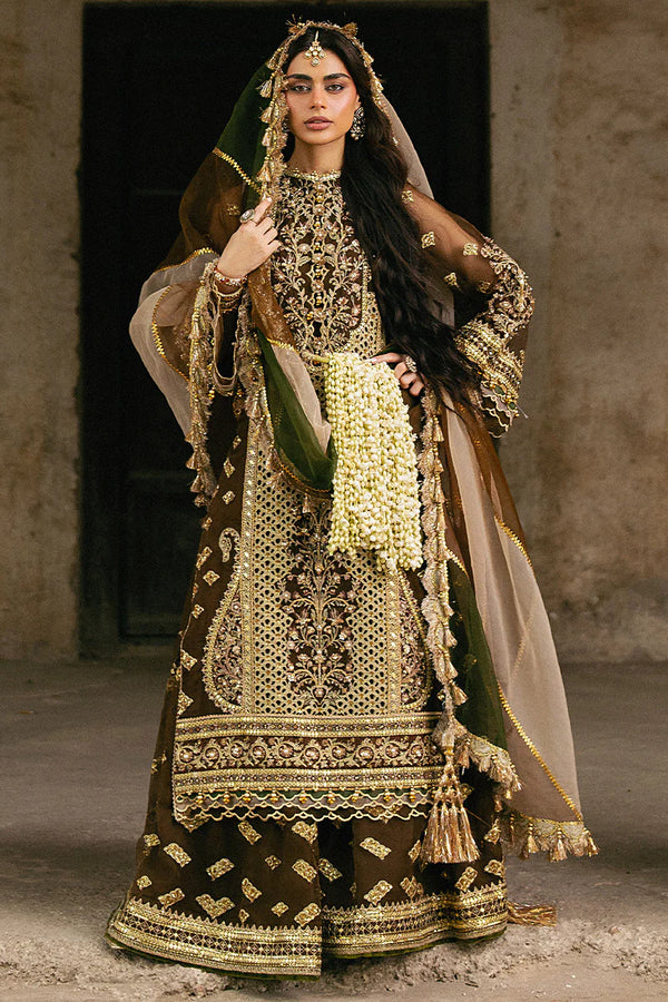 MNR | Zarlish Festive Stitched Vol VI | Tabeer - House of Ayeza