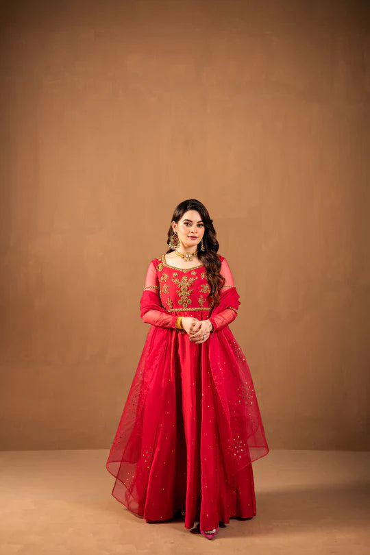 MK Wears | Festive Vol. 1 | Gulnaar - House of Ayeza