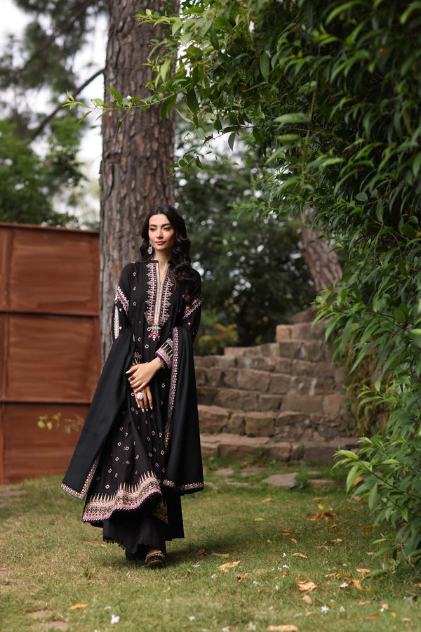 Saadia Asad | Winter Shawl 2024 Suzaankari | D5 - House of Ayeza