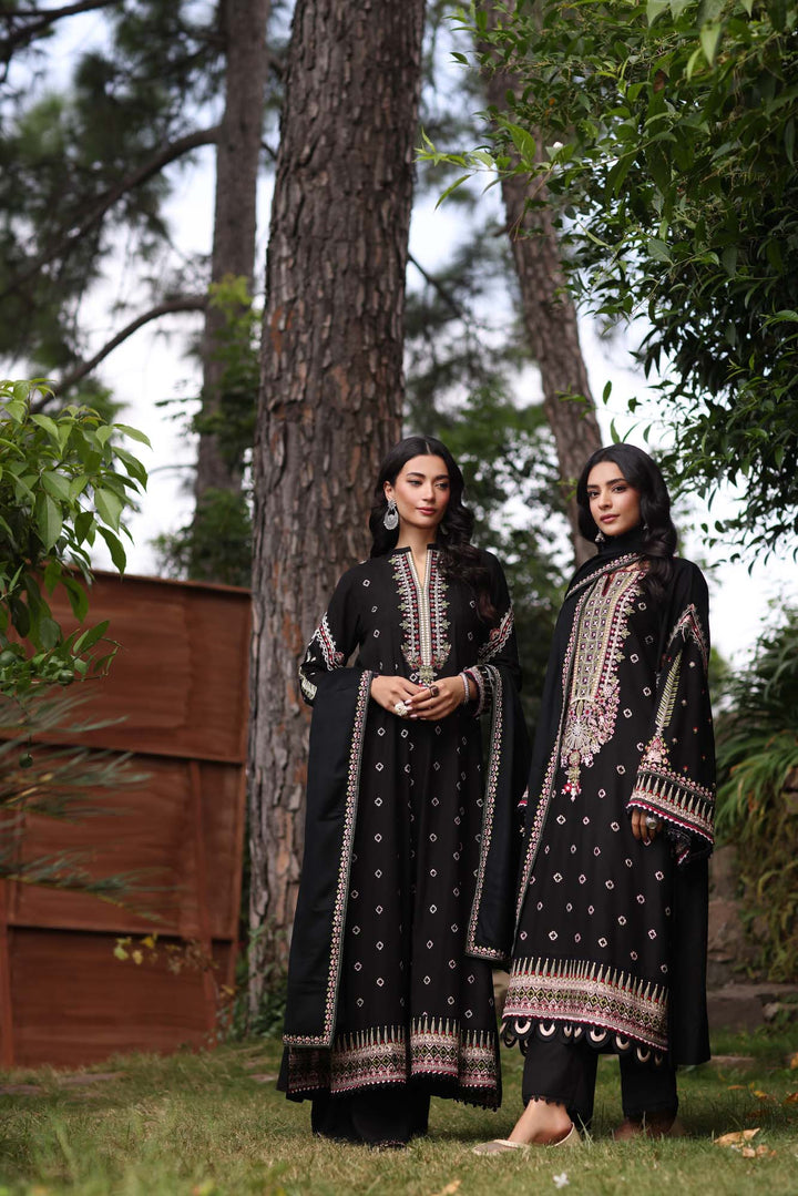 Saadia Asad | Winter Shawl 2024 Suzaankari | D5 - House of Ayeza