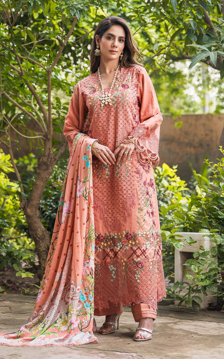 Asifa & Nabeel | Luxury Winter’24 | ASTOR WL-05 - House of Ayeza