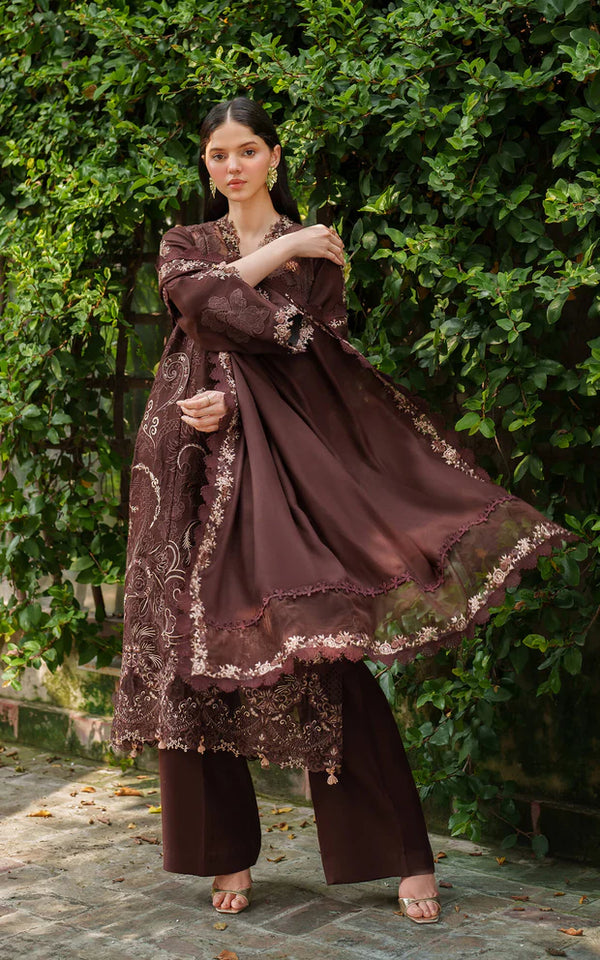 Asifa & Nabeel | Pashmina Luxe 25 | Aima LWC25-10 - House of Ayeza