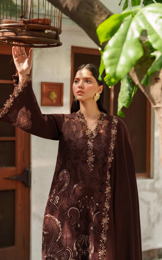 Asifa & Nabeel | Pashmina Luxe 25 | Aima LWC25-10 - House of Ayeza