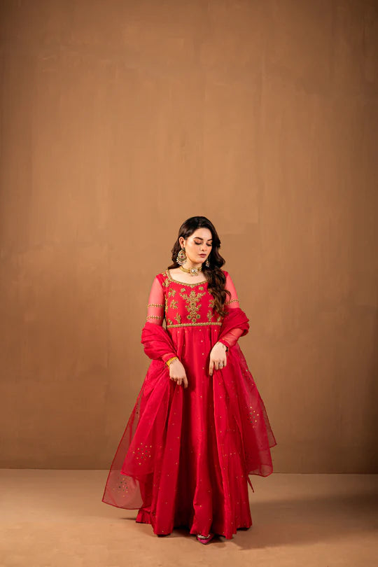 MK Wears | Festive Vol. 1 | Gulnaar - House of Ayeza