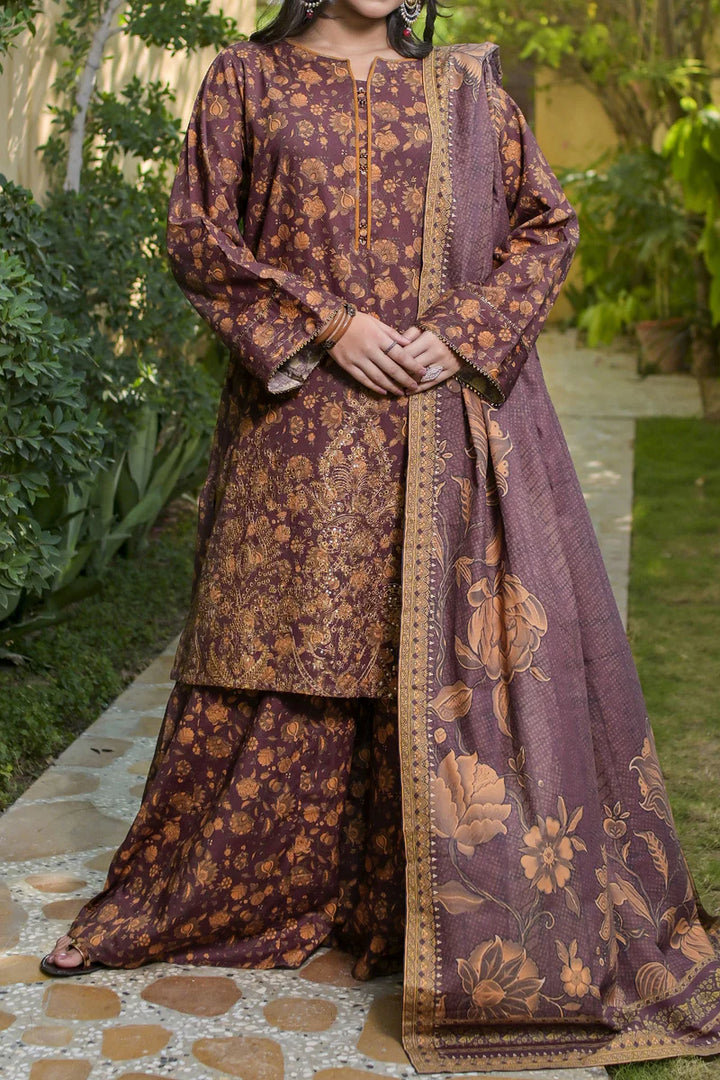 Rafia | Khaddar Collection | 3 PIECE STITCHED EMB KHADDAR | DPKH-100 - House of Ayeza