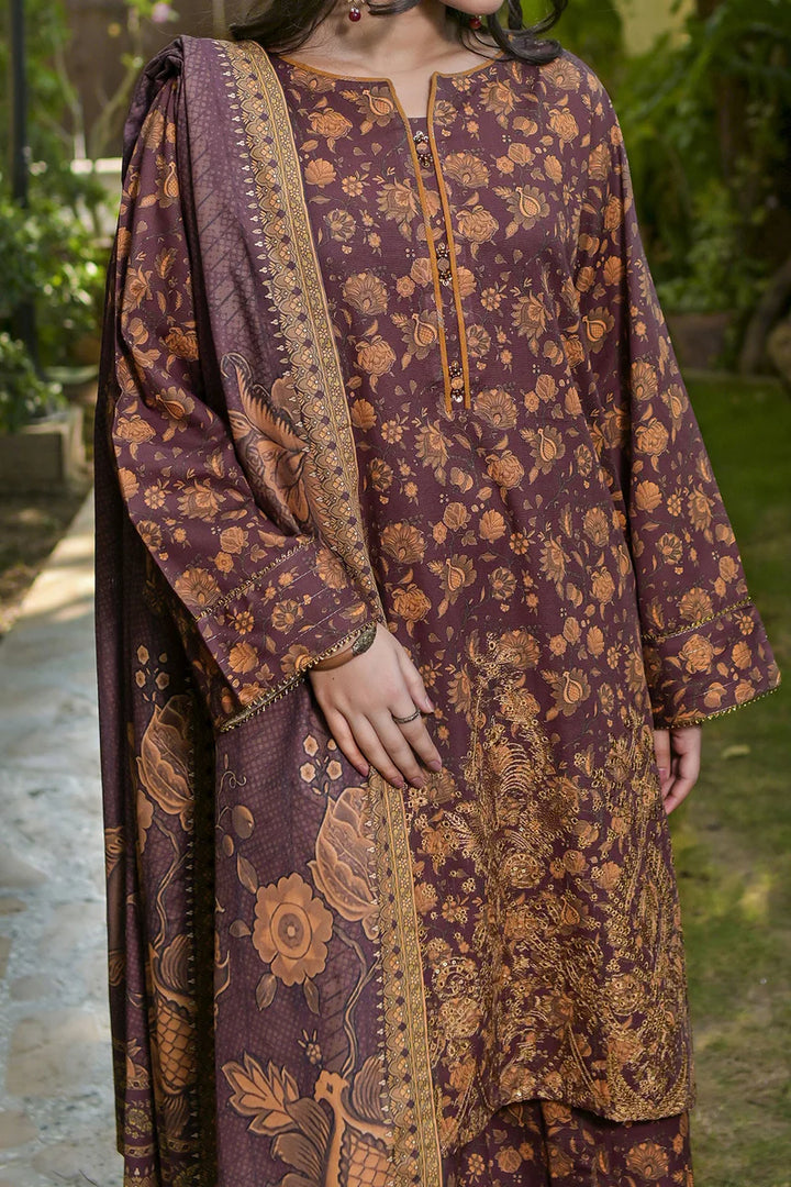 Rafia | Khaddar Collection | 3 PIECE STITCHED EMB KHADDAR | DPKH-100 - House of Ayeza