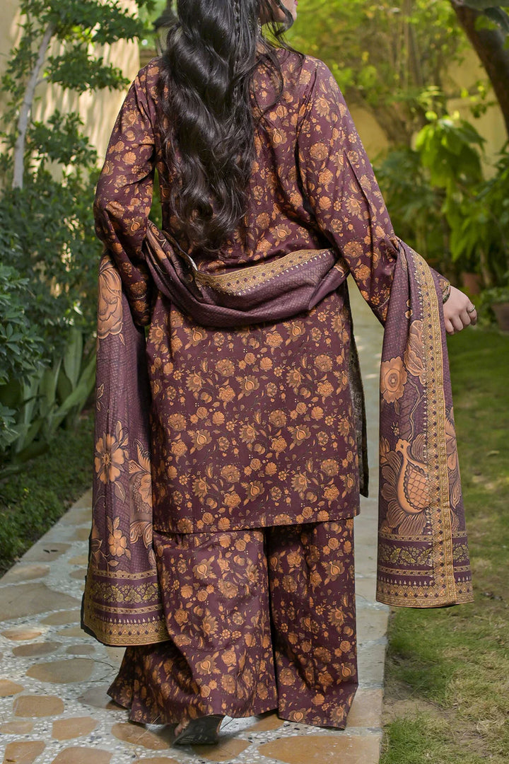 Rafia | Khaddar Collection | 3 PIECE STITCHED EMB KHADDAR | DPKH-100 - House of Ayeza