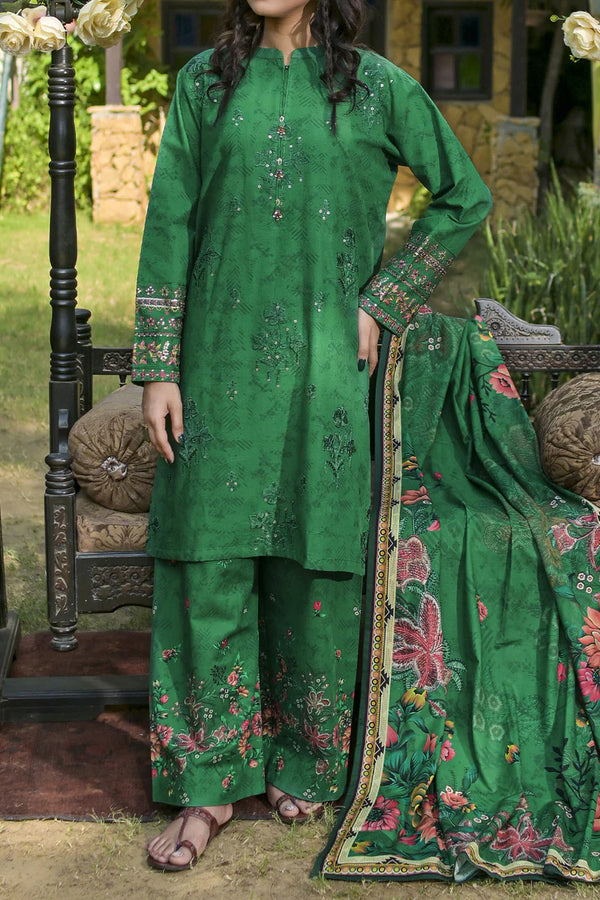 Rafia | Khaddar Collection | 3 PIECE STITCHED EMB KHADDAR | DPKH-101 Green - House of Ayeza