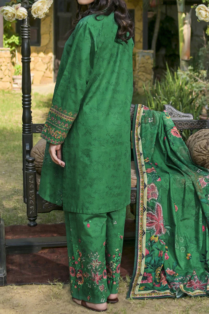 Rafia | Khaddar Collection | 3 PIECE STITCHED EMB KHADDAR | DPKH-101 Green - House of Ayeza