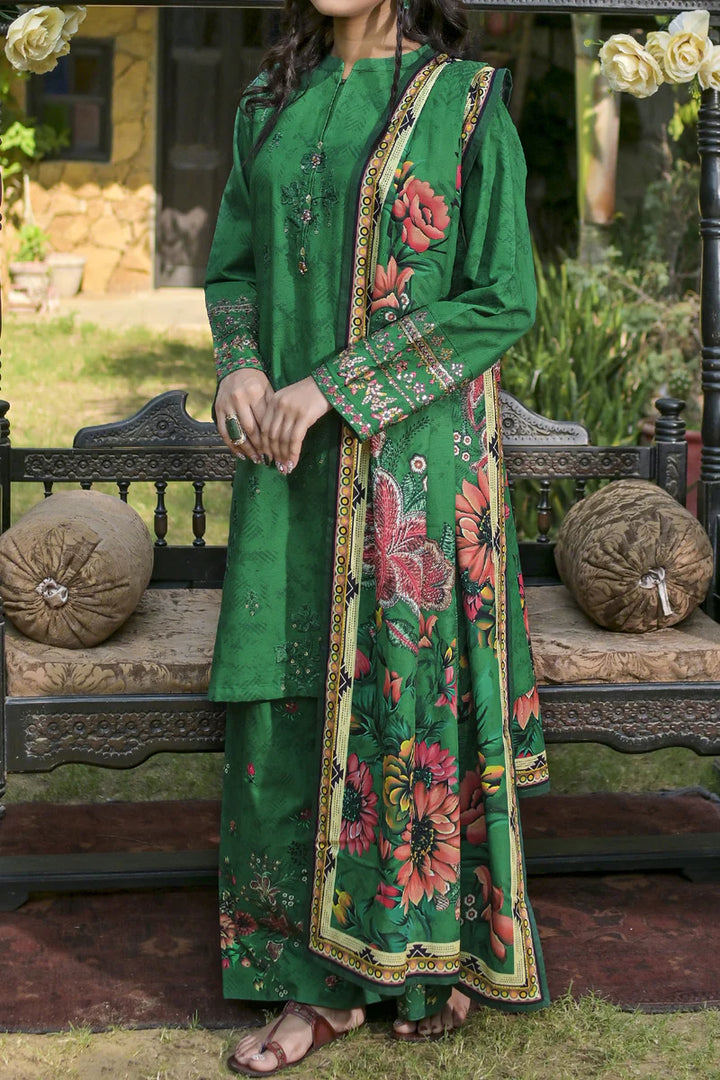 Rafia | Khaddar Collection | 3 PIECE STITCHED EMB KHADDAR | DPKH-101 Green - House of Ayeza