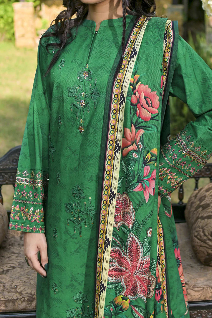 Rafia | Khaddar Collection | 3 PIECE STITCHED EMB KHADDAR | DPKH-101 Green - House of Ayeza