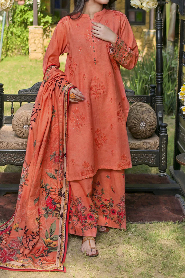 Rafia | Khaddar Collection | 3 PIECE STITCHED EMB KHADDAR | DPKH-101 Peach - House of Ayeza