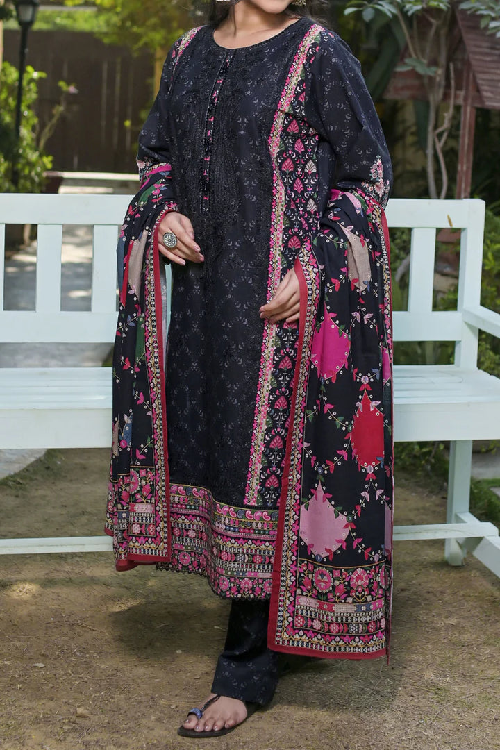 Rafia | Khaddar Collection | 3 PIECE STITCHED EMB KHADDAR | DPKH-102 - House of Ayeza