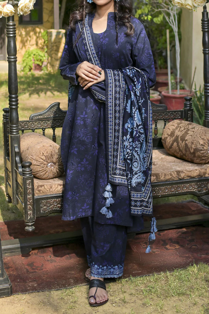 Rafia | Khaddar Collection | 3 PIECE STITCHED EMB KHADDAR | DPKH-103 - House of Ayeza