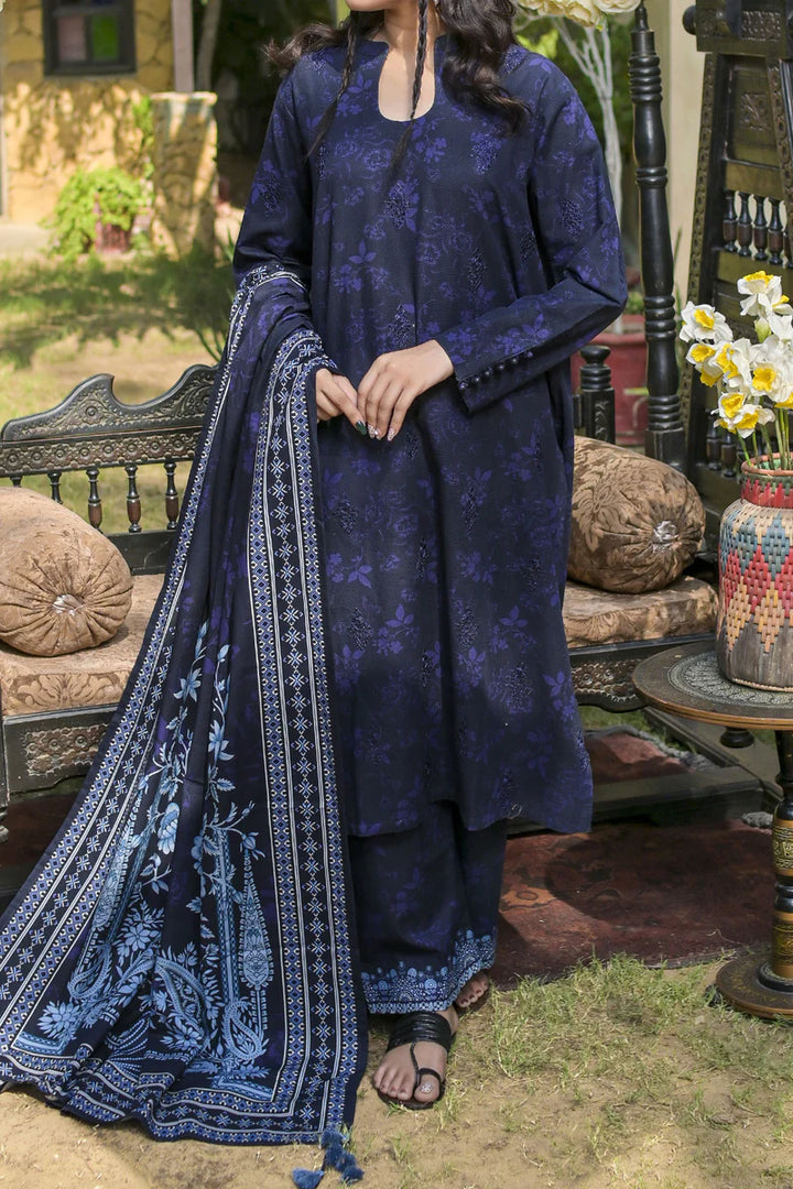 Rafia | Khaddar Collection | 3 PIECE STITCHED EMB KHADDAR | DPKH-103 - House of Ayeza