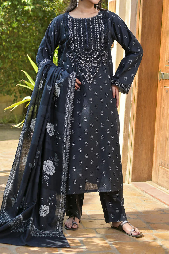 Rafia | Khaddar Collection | 3 PIECE STITCHED EMB KHADDAR | DPKH-104 - House of Ayeza