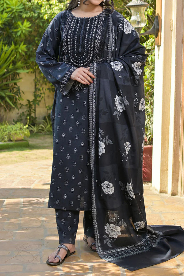 Rafia | Khaddar Collection | 3 PIECE STITCHED EMB KHADDAR | DPKH-104 - House of Ayeza