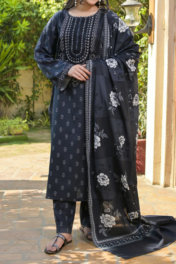 Rafia | Khaddar Collection | 3 PIECE STITCHED EMB KHADDAR | DPKH-104 - House of Ayeza