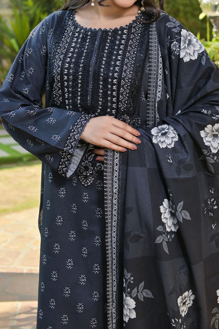 Rafia | Khaddar Collection | 3 PIECE STITCHED EMB KHADDAR | DPKH-104 - House of Ayeza