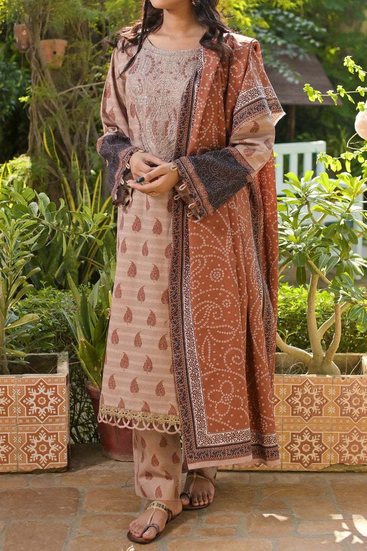 Rafia | Khaddar Collection | 3 PIECE STITCHED EMB KHADDAR | DPKH-106 - House of Ayeza