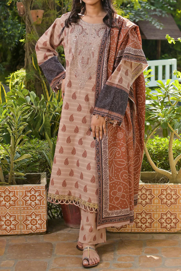 Rafia | Khaddar Collection | 3 PIECE STITCHED EMB KHADDAR | DPKH-106 - House of Ayeza