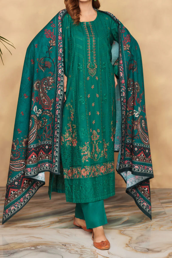 Rafia | Khaddar Collection | 3 PIECE STITCHED EMB KHADDAR | DPKH-72 - House of Ayeza