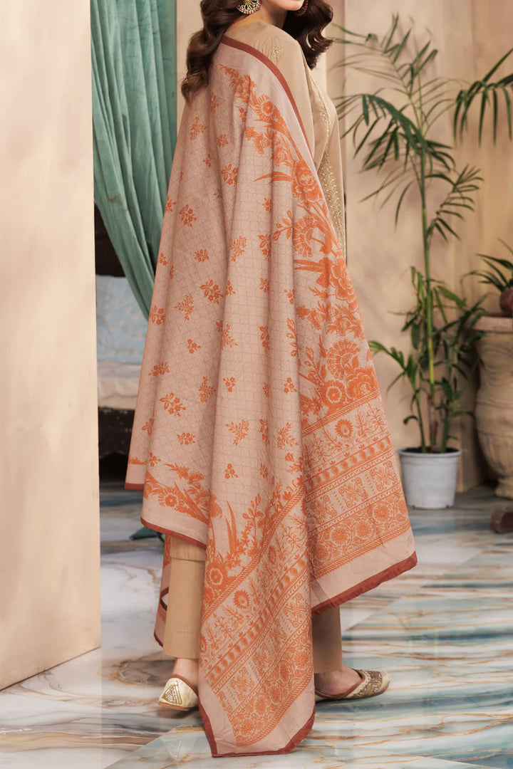 Rafia | Khaddar Collection | 3 PIECE STITCHED EMB KHADDAR | DPKH-73 - House of Ayeza