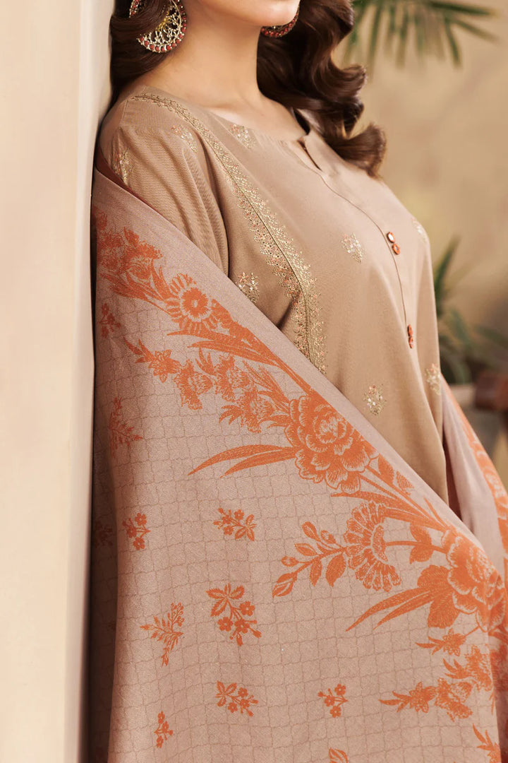 Rafia | Khaddar Collection | 3 PIECE STITCHED EMB KHADDAR | DPKH-73 - House of Ayeza