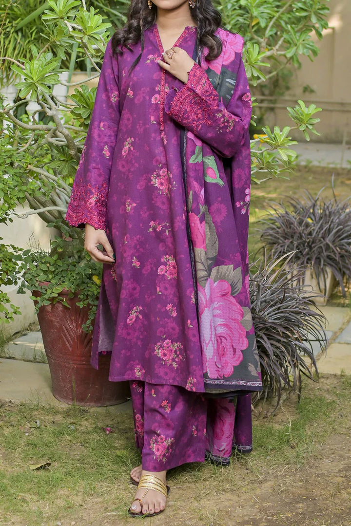 Rafia | Khaddar Collection | 3 PIECE STITCHED EMB KHADDAR | DPKH-98 - House of Ayeza