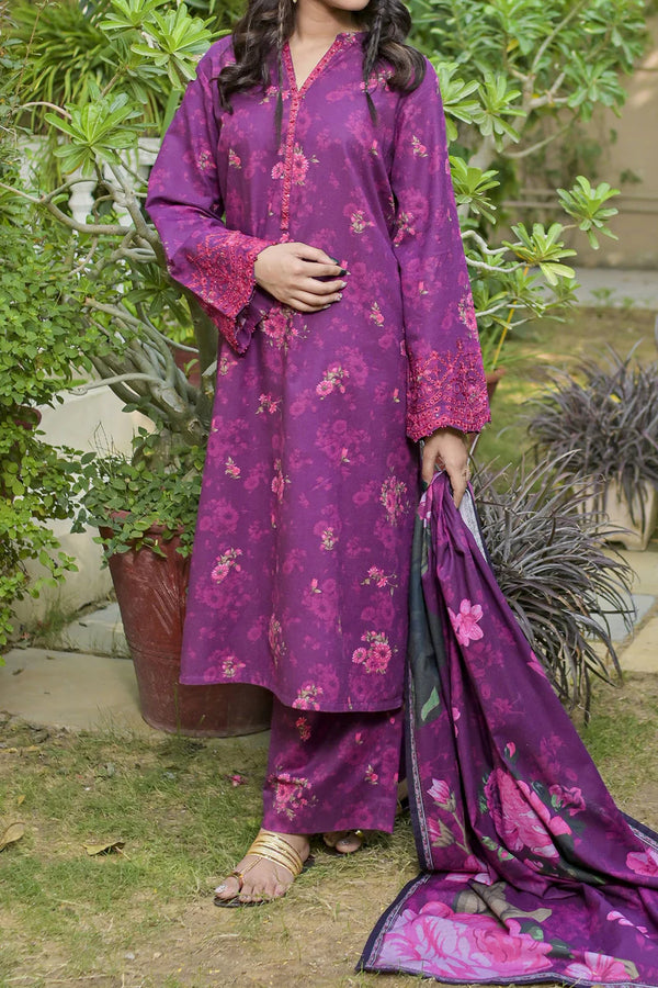 Rafia | Khaddar Collection | 3 PIECE STITCHED EMB KHADDAR | DPKH-98 - House of Ayeza