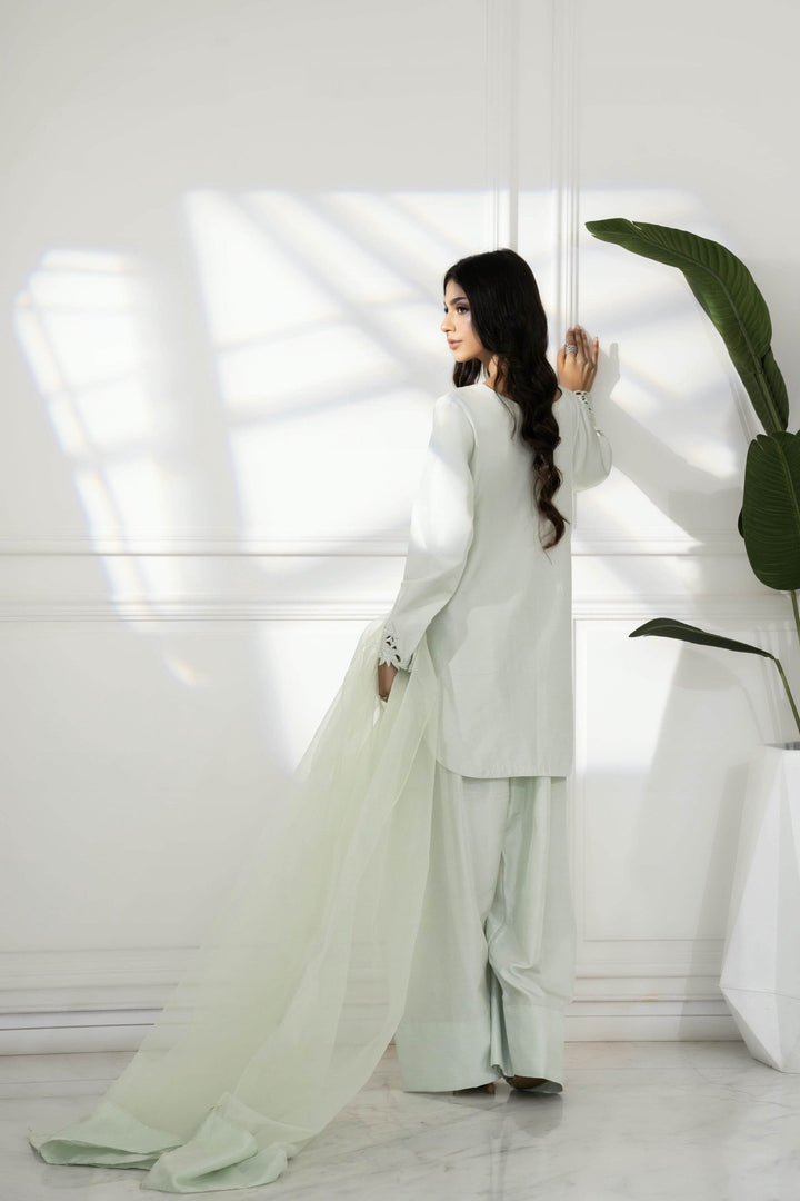 Ayesha Somaya | Mirage Eid Edit | Noor - House of Ayeza