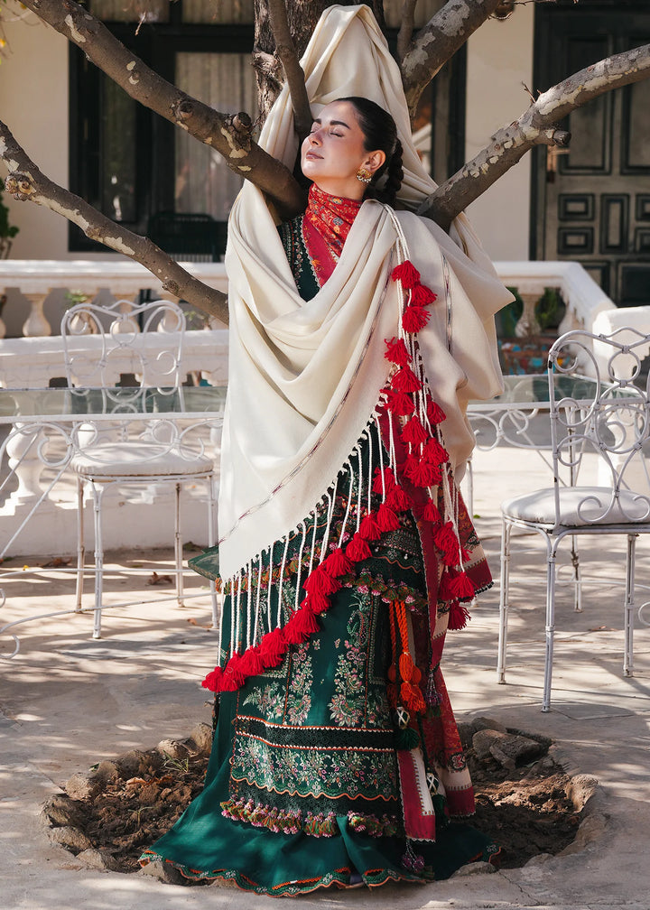 Hussain Rehar | Winter Shawl'24 | Masarrah - House of Ayeza