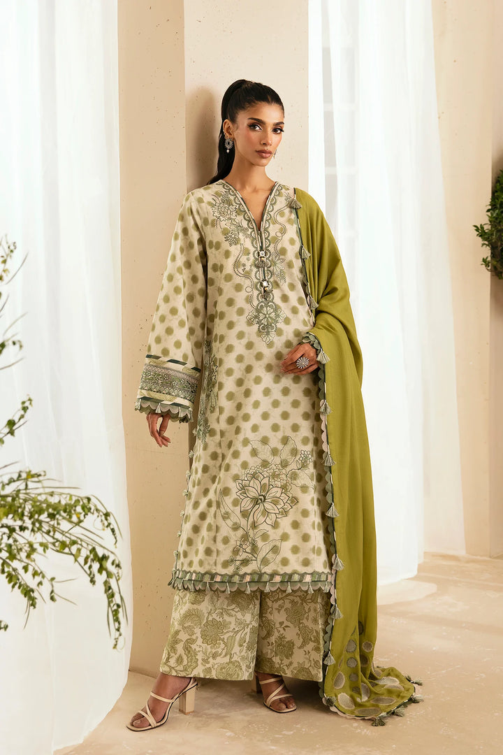 Ethnc | Rozana Stitched Collection '24 | E0450/203/126 - House of Ayeza