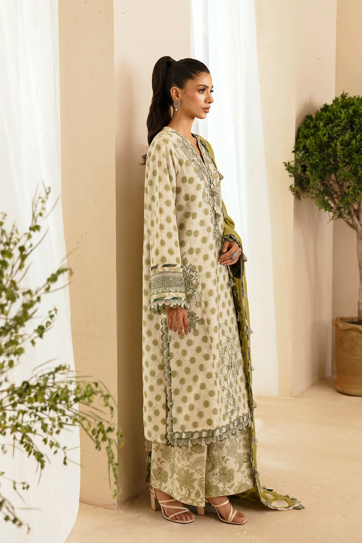 Ethnc | Rozana Stitched Collection '24 | E0450/203/126 - House of Ayeza