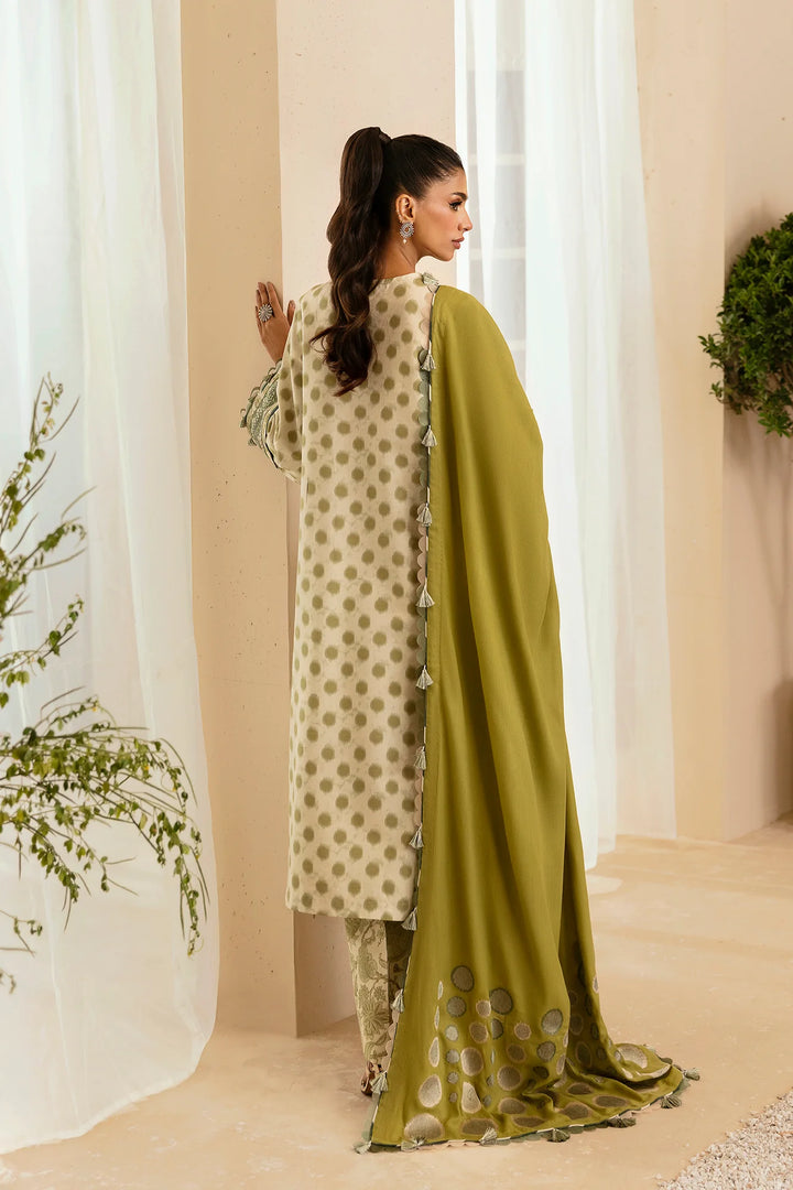 Ethnc | Rozana Stitched Collection '24 | E0450/203/126 - House of Ayeza