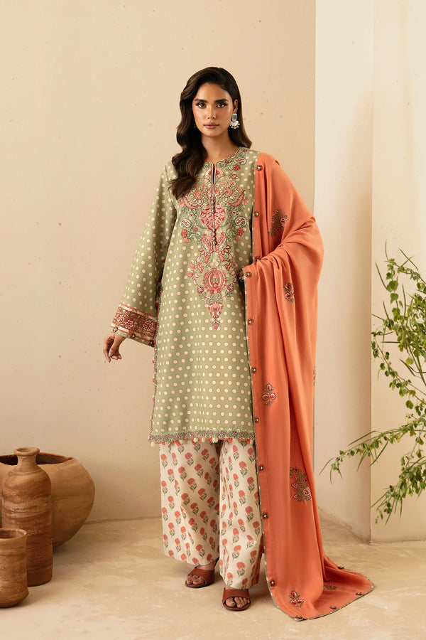 Ethnc | Rozana Stitched Collection '24 | E0452/203/324 - House of Ayeza