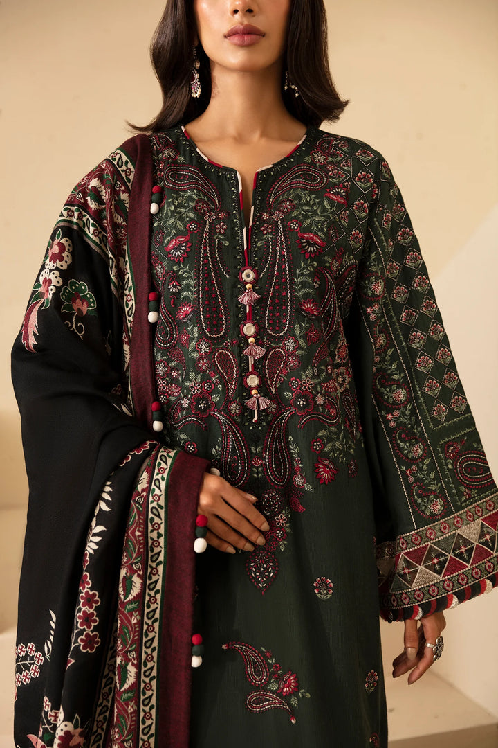 Ethnc | Rozana Stitched Collection '24 | E0453/203/704 - House of Ayeza